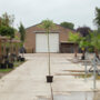 Bonte wilg op stam 150 cm stam, totale hoogte 170 - 190 cm